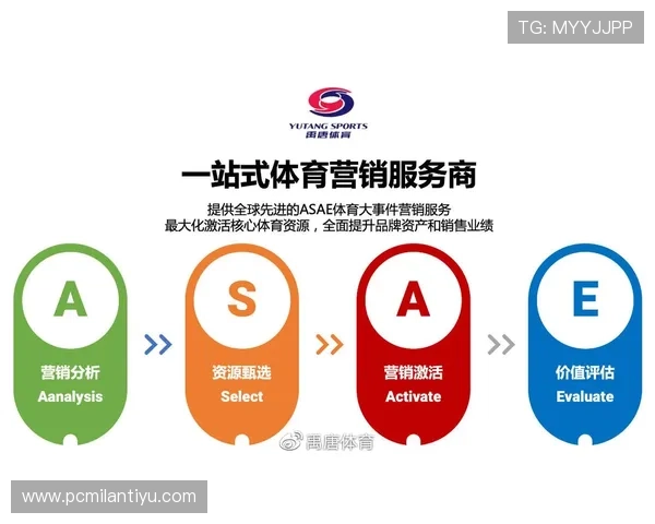 米兰体育登录网址详细解析，提供最全面的登录流程和常见问题解决方案